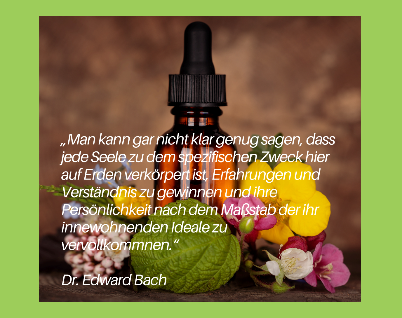 Bach-Blüten – Zitat Dr. Edward Bach
