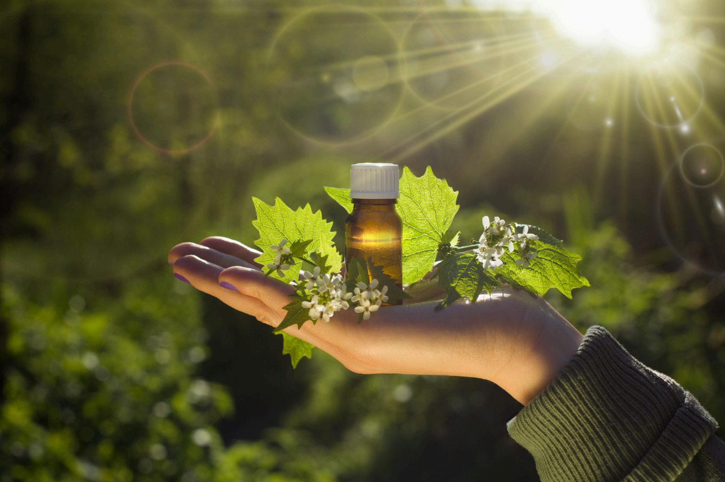 Hand mit Blüten und Sonnenlicht